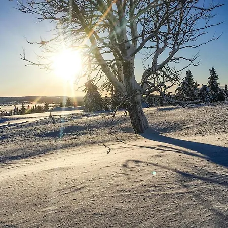 Prázdninový dům Sjusjovegen 1892 *