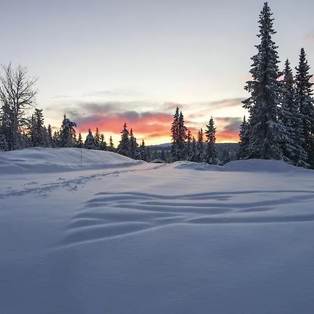 Sjusjovegen 1892 Feriehus