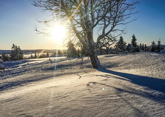 Casa de Férias Sjusjovegen 1892 *