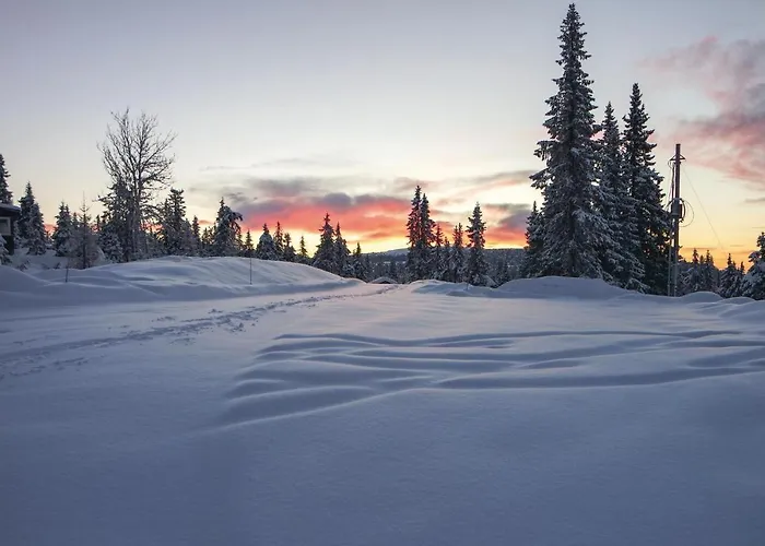 Sjusjovegen 1892 Prázdninový dům